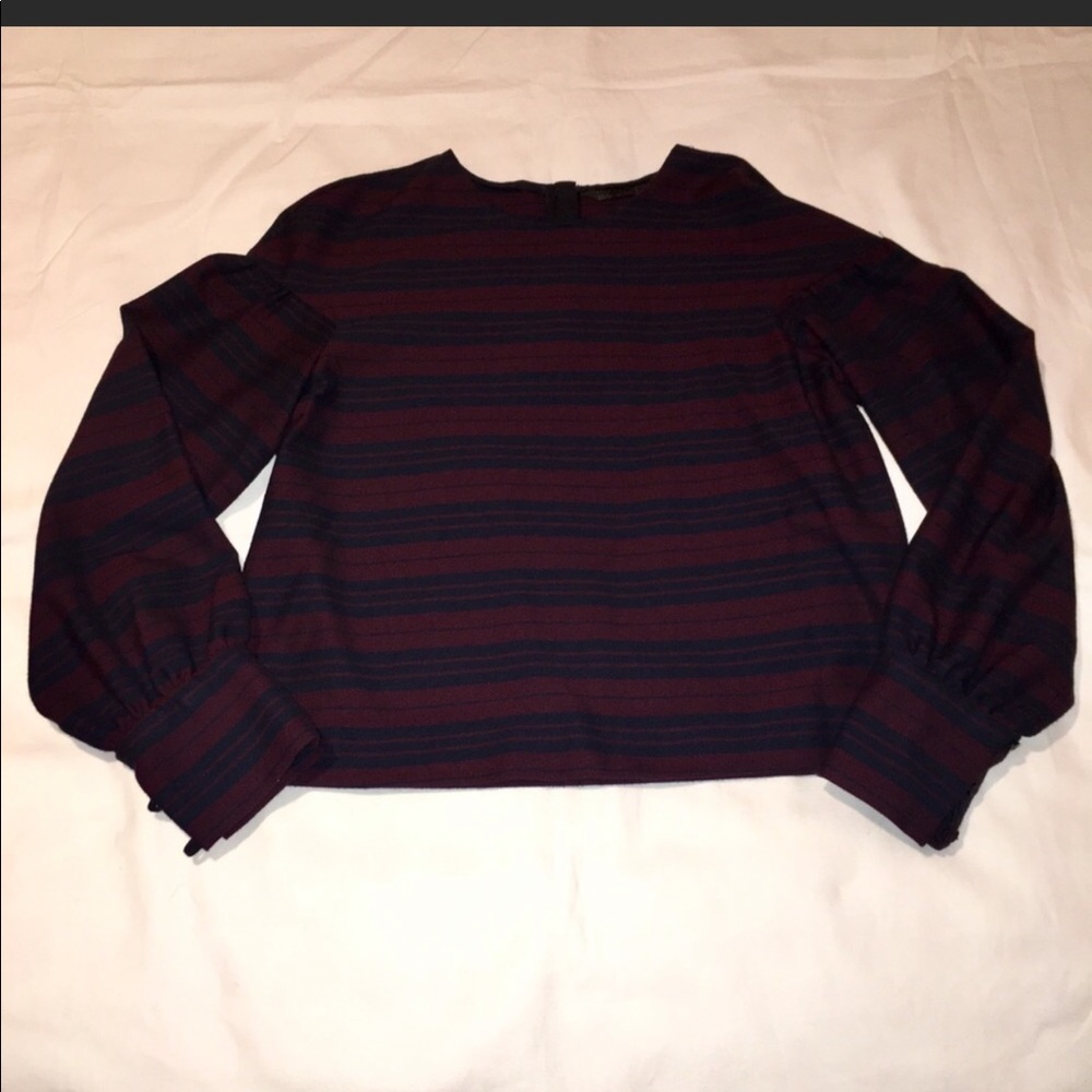 Zara trafaluc top with puff sleeves